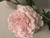 1. Ruffle Carnation Spray x 3 63cm Pastel Pink thumbnail