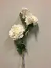Ruffle Carnation x 3 63cm White thumbnail