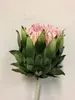 Protea 60cm Pink thumbnail