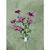 Tall Cosmos Spray 85cm Hot Pink thumbnail