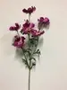 1. Tall Cosmos Spray 85cm Hot Pink thumbnail