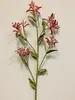 Kangaroo Paw 74cm Red thumbnail