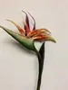 Bird of Paradise 83cm  thumbnail