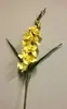 Gladiolus Flower 101cm Yellow thumbnail