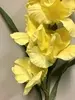 1. Gladiolus Flower 101cm Yellow thumbnail