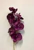 Phalaenopsis Orchid 70cm Purple thumbnail