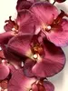 1. Tall Real Touch Phalaenopsis Orchid 102cm Purple/Magenta  thumbnail