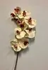 Tall Real Touch Phalaenopsis Orchid 102cm Light Pink thumbnail