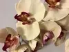 1. Tall Real Touch Phalaenopsis Orchid 102cm Light Pink thumbnail