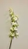 Vanda Dendrobium Orchid 95cm White thumbnail