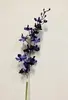 Vanda Dendrobium Orchid 95cm Purple thumbnail