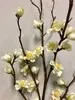 1. Tall Peach Blossom 118cm Cream Green thumbnail