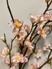 1. Tall Peach Blossom 119cm Pink thumbnail