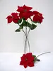Single Poinsettia Red 64cm thumbnail