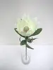 Leucadendron Flower 59cm White thumbnail