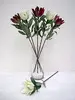 1. Leucadendron Flower 59cm White thumbnail