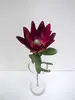 Leucadendron Flower 59cm Burgundy/Red thumbnail