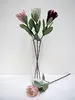 1. Protea Flower 60cm Pink thumbnail