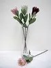 1. Protea Flower 60cm Burgundy thumbnail