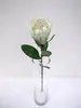 Protea Flower 60cm White thumbnail