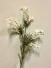 Australian Wattle Spray 85cm White thumbnail