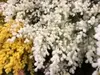 1. Australian Wattle Spray 85cm White thumbnail