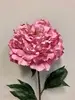 Large Ruffle Peony 80cm Dark Pink thumbnail