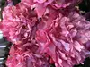 2. Large Ruffle Peony 80cm Dark Pink thumbnail