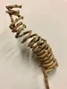 Twiggy Spiral Stem 40cm thumbnail