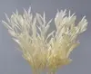 1. White Laurus Leaf Spray 75cm thumbnail