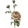 Ranunculus Spray 71cm Light Brown thumbnail
