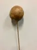 Dried Badam Pod on Stem 50cm thumbnail