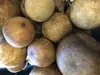 1. Dried Badam Pod on Stem 50cm thumbnail