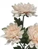 1. Chrysanthemum Bush 61cm Blush Pink/Peach thumbnail