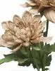 1. Chrysanthemum Bush 61cm Soft Taupe  thumbnail
