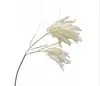 Pampas Grass 100cm Cream thumbnail
