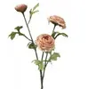 Dried Look Ranunculus Spray 72cm Dusty Peach thumbnail
