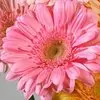 1. Design Master Just For Flowers Spray Pink Petunia thumbnail