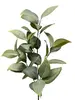 Broad Leaf Gum Spray 80cm Green thumbnail