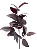Broad Leaf Gum Spray 80cm Plum thumbnail