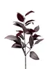 1. Broad Leaf Gum Spray 80cm Plum thumbnail