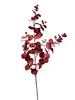 2. Tall Round Leaf Eucalyptus Gum Spray Red 106cm thumbnail