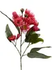 Eucalyptus Gum Flower Spray 76cm Red thumbnail