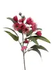 Eucalyptus Gum Flower Spray 76cm Pink thumbnail