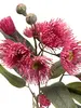 1. Eucalyptus Gum Flower Spray 76cm Pink thumbnail