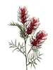 Grevillea Spray 85cm Red thumbnail