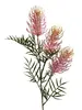 Grevillea Spray 85cm Pink thumbnail