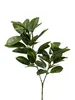 Laurel Leaves Spray 85cm thumbnail