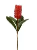 2. Banksia Robur Spray 74cm Orange thumbnail
