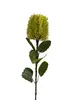 Banksia Spray 58cm Green thumbnail